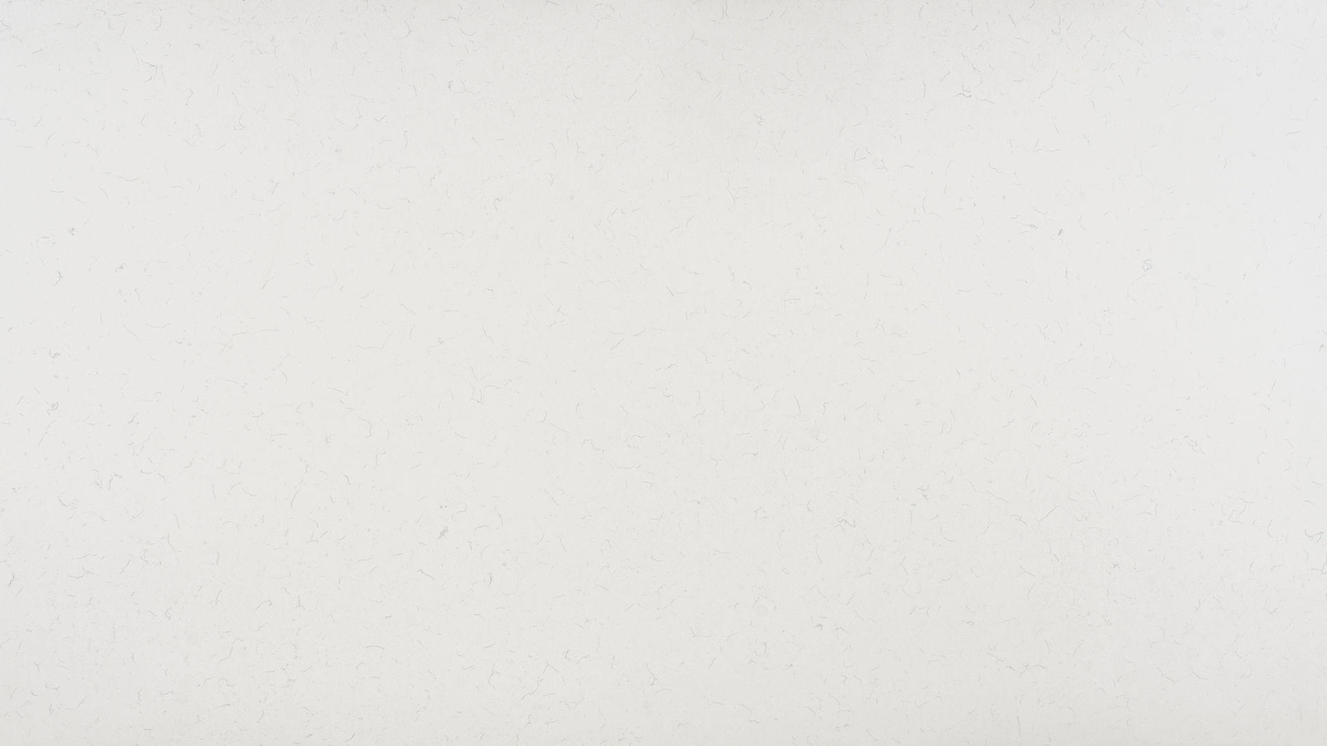 BIANCO CARRARA Quartz Countertops